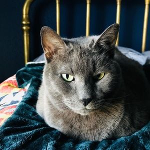 Meet your Posher, Makynzi